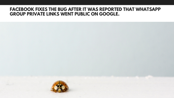 Facebook fixes the bug after it was reported that WhatsApp group private links went public on Google.