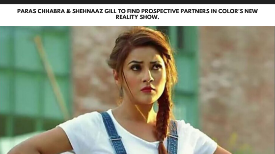 Paras Chhabra & Shehnaaz Gill to find prospective partners in Color's new reality show.
